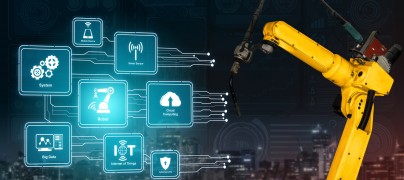 Partner Ecosystems in the Industry 4.0 age