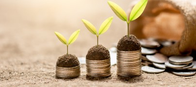 Guidelines for calculating the ROI of your IT projects